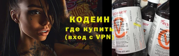 индика Новокубанск