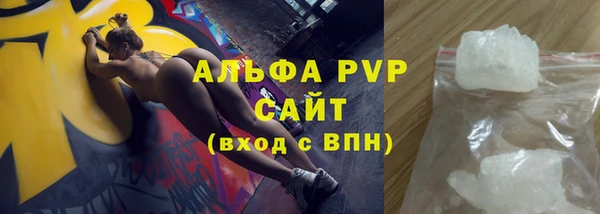 индика Новокубанск
