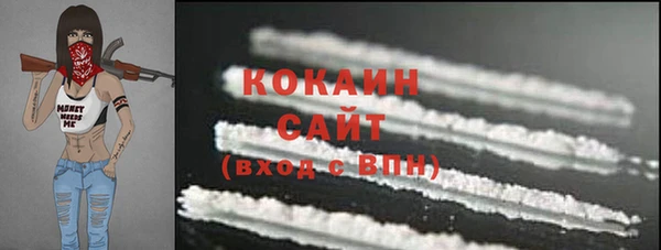 индика Новокубанск