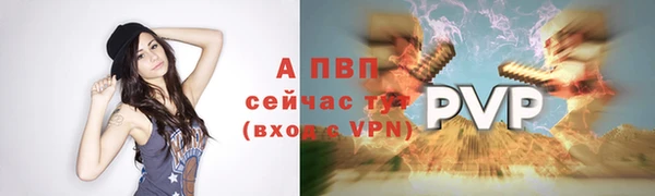 бошки Новозыбков