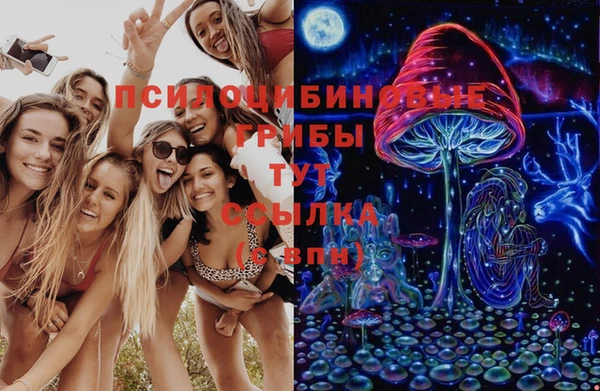 бошки Новозыбков