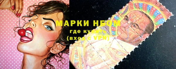 индика Новокубанск