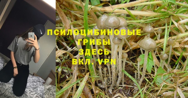 бошки Новозыбков